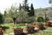 Casa Mezzuola Agriturismo-Giardino